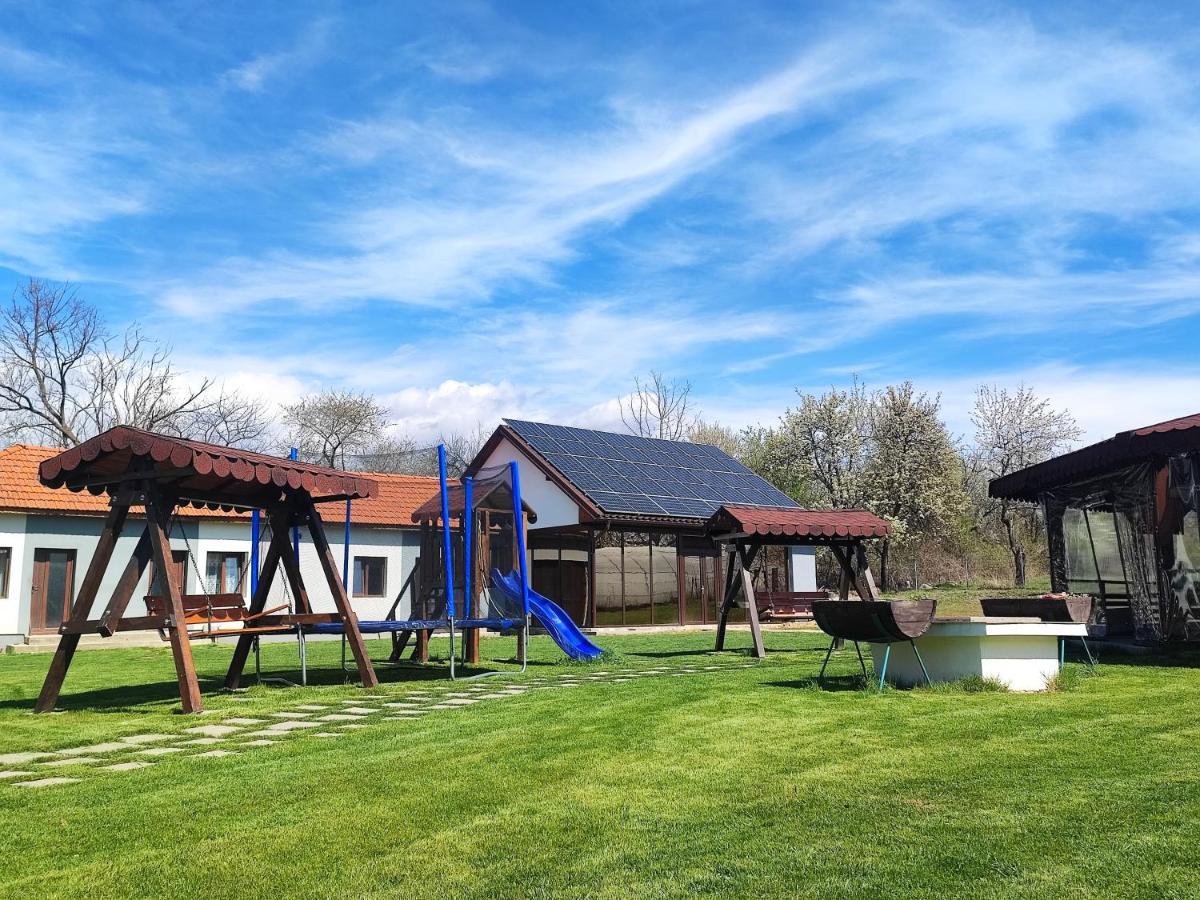 Pensiunea Casa Hortopan Târgu Jiu Extérieur photo
